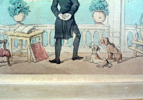 Early 1800's - Thomas Rowlandson - Hand Coloured Engraving Titled - "Dr. Syntax Soliloquising"