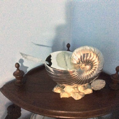 Silver Nautilus Shell Spoon Warmer - Downton Abbey Elegance At Its Best!